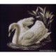 RTO, kit Cygne (RTOM211)
