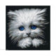 RTO, kit Fluffy (RTOM676)