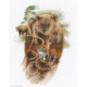RTO, kit Forester (RTOM781)