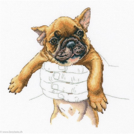 RTO, kit In Palms Bulldog (RTOM821)