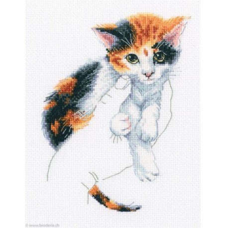 RTO, kit In Palms Chaton (RTOM819)