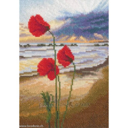 RTO, kit In the moment coquelicot (RTOM959)