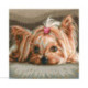 RTO, kit Pet (RTOM709)