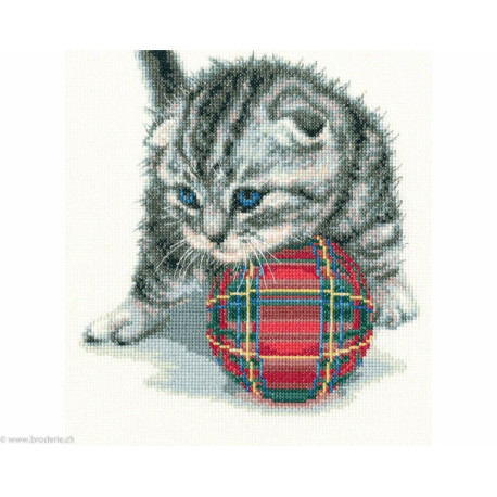 RTO, kit Playfull Kitten (RTOM708)