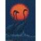 RTO, kit Red sun (RTOM1055)