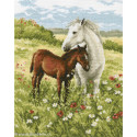 RTO, kit Tenderness (RTOM326)