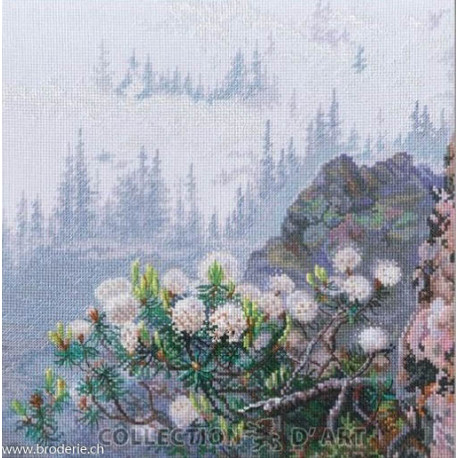 RTO, kit Wild rosemary (RTOM1015)