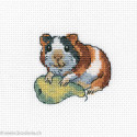 RTO, petit kit Rodent Bonn (RTOH260)