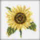 RTO, petit kit tournesol (RTOH170)