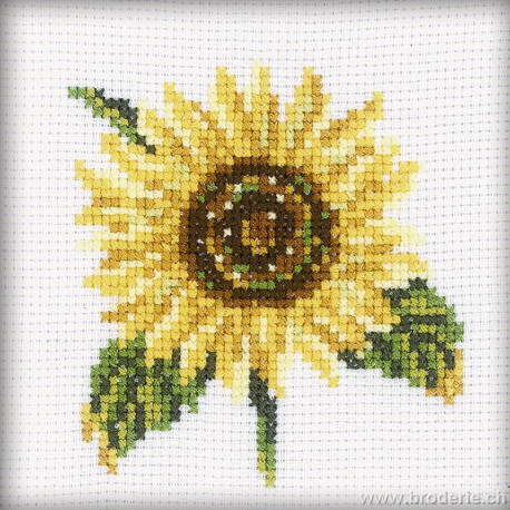 RTO, petit kit tournesol (RTOH170)