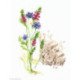 RTO, kit Bloomy herbs (RTOM778-T)