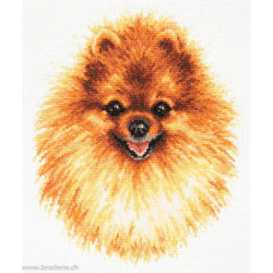 Magic Needle, kit Pomeranian (MN59-22)