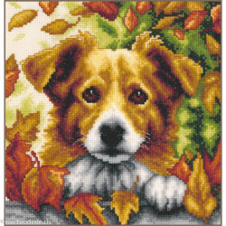Vervaco, kit chien en d'automne (PN0212256)