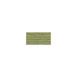 DMC mouliné N° 3052 (DMC3052)