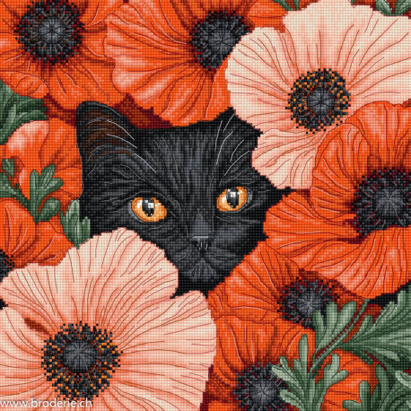 LetiStitch, kit Poppy Eyes (SLETIL9949)