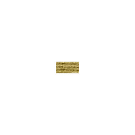 DMC mouliné N° 371 (DMC371)
