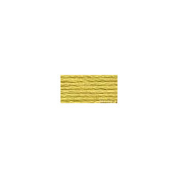 DMC mouliné N° 834 (DMC834)