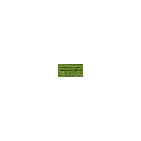DMC mouliné N° 3346 (DMC3346)