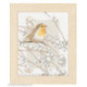 Lanarte, kit MB rouge-gorge (LA0008056)