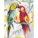 Lanarte, kit Parrot talk (LA0216141)