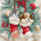 LetiStitch, kit Christmas Naps (SLETIL9966)