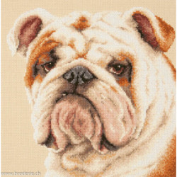 Magic Needle, kit Bulldog (MN59-21)