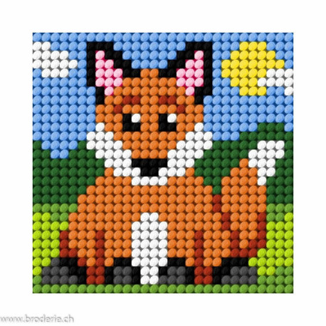 Orchidea, kit enfant chaton renard (OR9645)