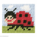 Orchidea, kit enfant Coccinelle (OR9711)